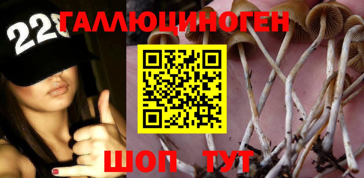 Псилоцибиновые грибы Cubensis Мурманск